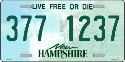 NH license plate 3771237