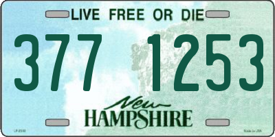 NH license plate 3771253