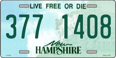 NH license plate 3771408