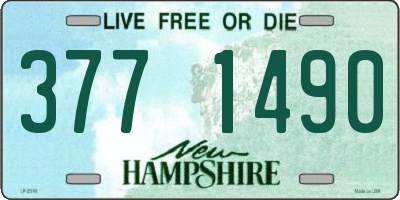NH license plate 3771490