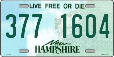 NH license plate 3771604