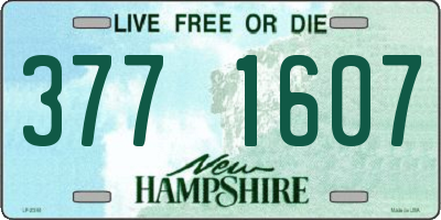NH license plate 3771607