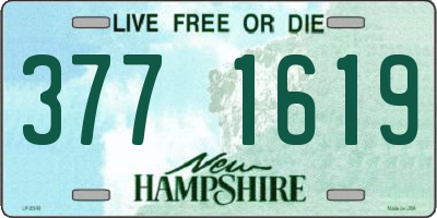 NH license plate 3771619