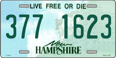 NH license plate 3771623