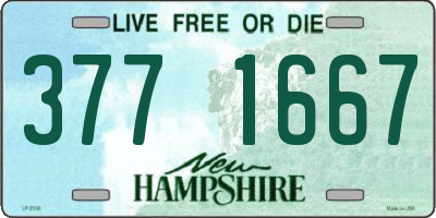NH license plate 3771667