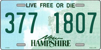 NH license plate 3771807