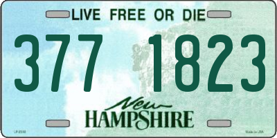 NH license plate 3771823