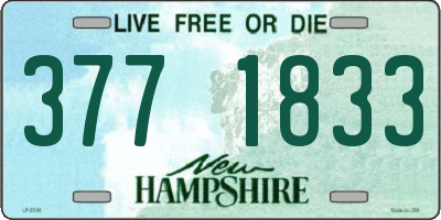 NH license plate 3771833