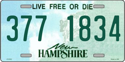 NH license plate 3771834
