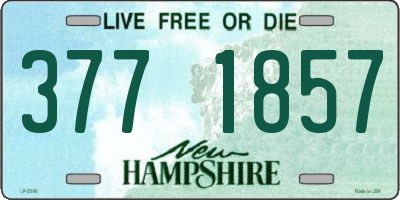 NH license plate 3771857
