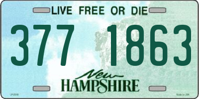 NH license plate 3771863