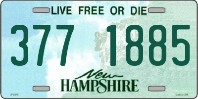 NH license plate 3771885