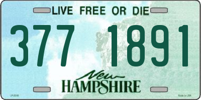 NH license plate 3771891