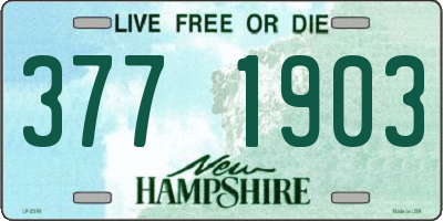 NH license plate 3771903