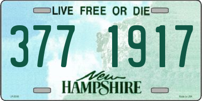 NH license plate 3771917