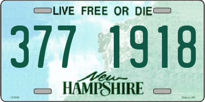 NH license plate 3771918