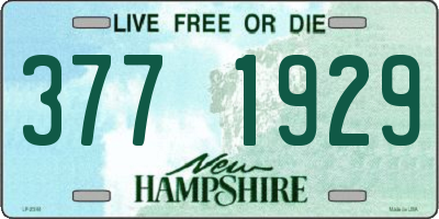 NH license plate 3771929