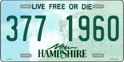 NH license plate 3771960