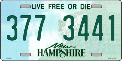 NH license plate 3773441