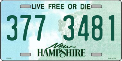 NH license plate 3773481