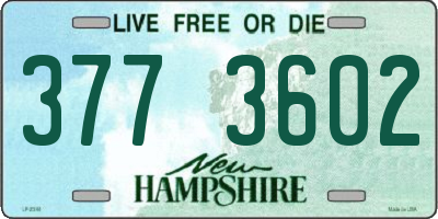 NH license plate 3773602