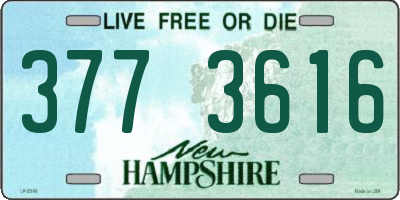 NH license plate 3773616