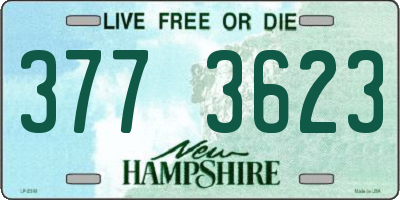 NH license plate 3773623