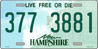 NH license plate 3773881