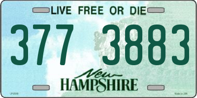 NH license plate 3773883