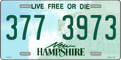 NH license plate 3773973