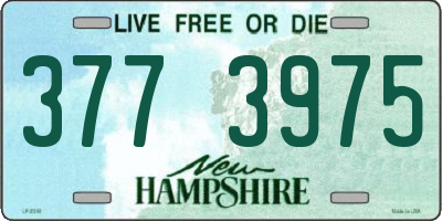 NH license plate 3773975