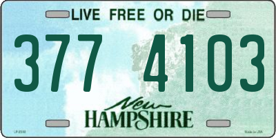 NH license plate 3774103