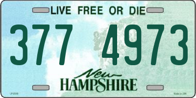 NH license plate 3774973