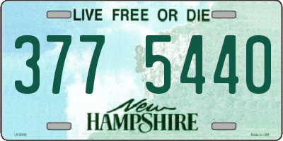 NH license plate 3775440