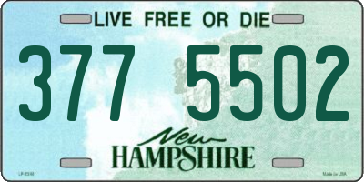 NH license plate 3775502
