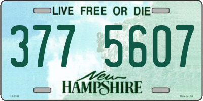 NH license plate 3775607