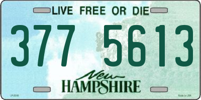 NH license plate 3775613