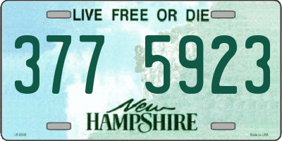 NH license plate 3775923