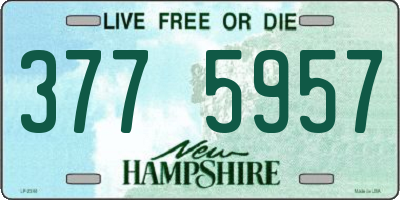 NH license plate 3775957