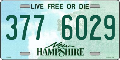 NH license plate 3776029