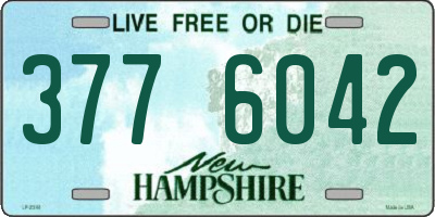NH license plate 3776042