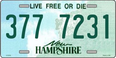 NH license plate 3777231