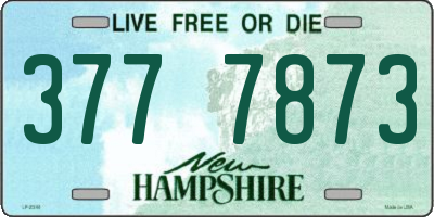 NH license plate 3777873