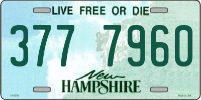 NH license plate 3777960