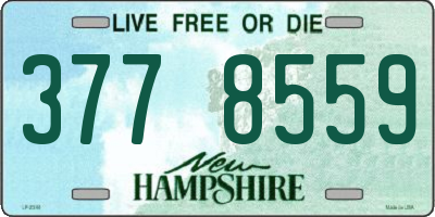 NH license plate 3778559