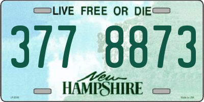 NH license plate 3778873