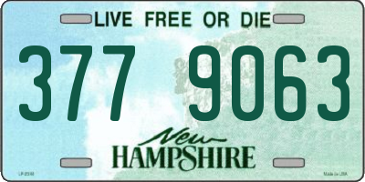 NH license plate 3779063