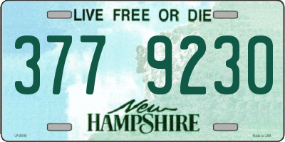 NH license plate 3779230