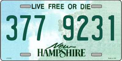NH license plate 3779231