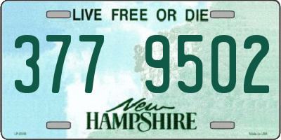 NH license plate 3779502